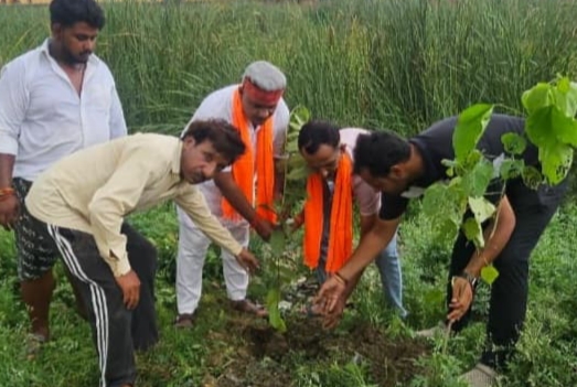 नगर पंचायत बढ़नी बाजार में चला वृहद पौधरोपण अभियान, अध्यक्ष सुनील अग्रहरि ने रोपे पौधे